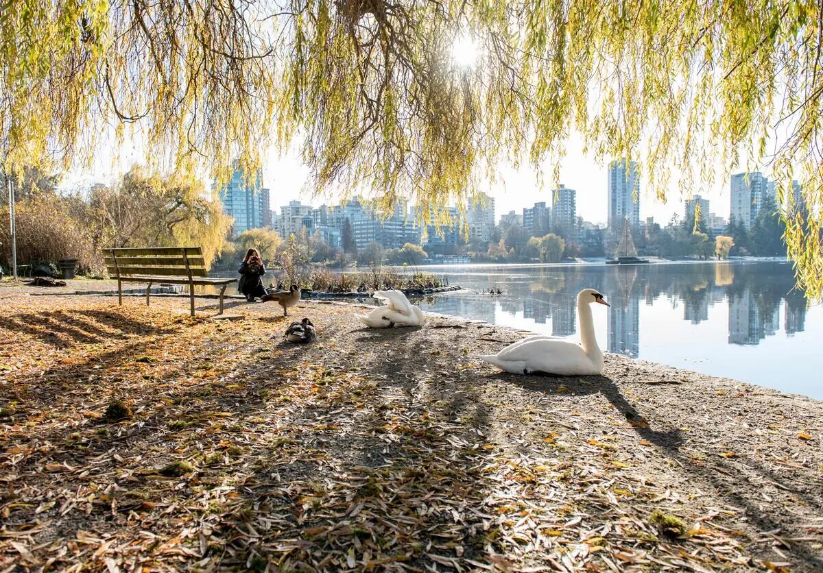 Stanley Park near Pinnacle Hotel Harbourfront in downtown Vancouver